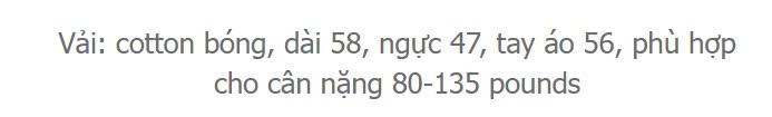 24HA2110.25 - ÁO LEN NỮ CỔ BẺ