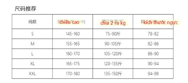 24HA2310.06 - ÁO THUN NỮ CỔ V CANVAS