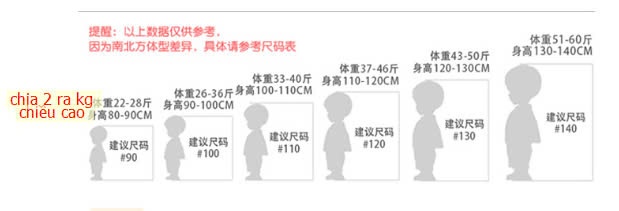 24HA2510.25 - VÁY THÊU BÉ GÁI PREMIUM