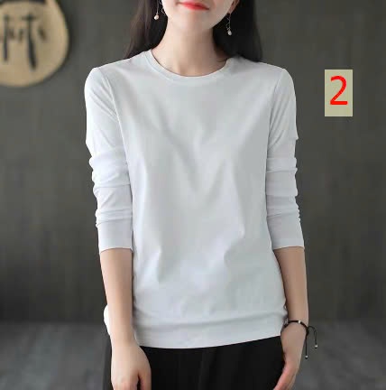 24HA2910.02 - ÁO THUN COTTON LỤA DÂU TẰM
