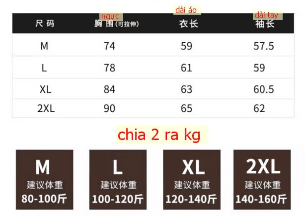 24HA3110.03 - ÁO THUN LOANG DÁNG ÔM