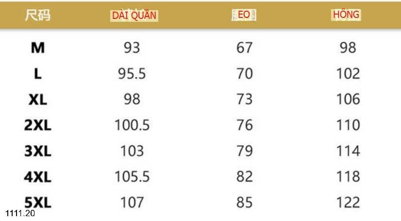 24HA1111.20 - BỘ THU ĐÔNG LÓT LÔNG NAM DESSO