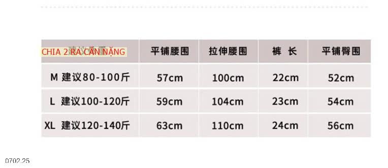 25HA0702.25 - SET 6 QUẦN CHÍP SU ĐÚC