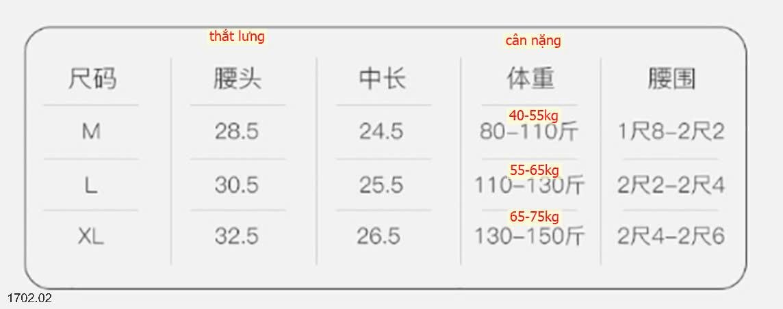 25HA1702.02 - SET 10 QUẦN CHIP NỮ LỤA BĂNG