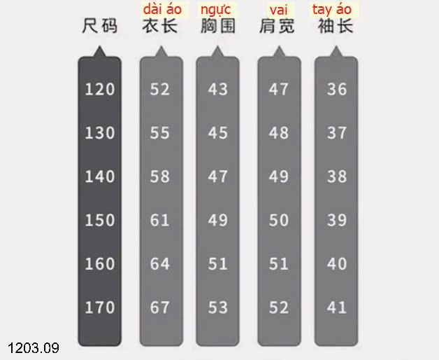 25HA1203.09 - ÁO THUN COTTON BÉ TRAI SZ ĐẠI QC