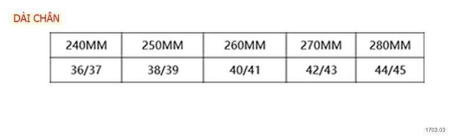 25HA1703.03 - GIÀY LỖ NAM THOÁNG KHÍ
