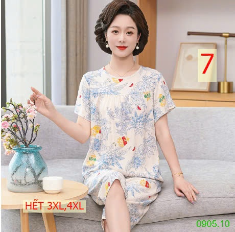 25HA0905.10 - BỘ LANH LỬNG TRUNG NIÊN