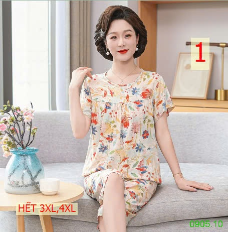 25HA0905.10 - BỘ LANH LỬNG TRUNG NIÊN