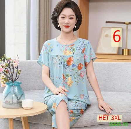 25HA0905.10 - BỘ LANH LỬNG TRUNG NIÊN
