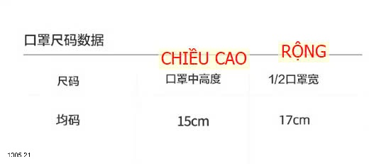 25HA1005.21 - SET 4 KHẨU TRANG CHO NỮ