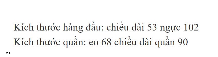 25HA1205.21 - SET VÁY KÈM ÁO CỔ V CHO NỮ