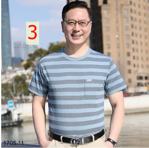 25HA1705.11 - ÁO THUN KẺ CỔ TRÒN NAM