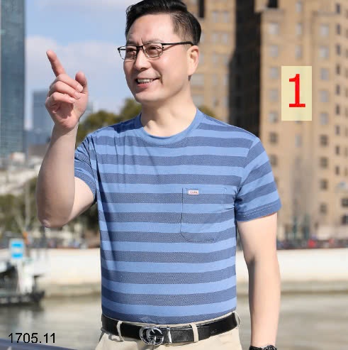 25HA1705.11 - ÁO THUN KẺ CỔ TRÒN NAM