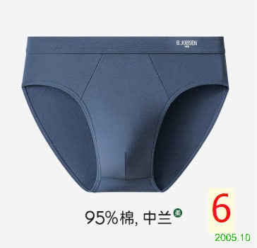 25HA2005.10 - SET 5 QUẦN SỊP TAM GIÁC NAM