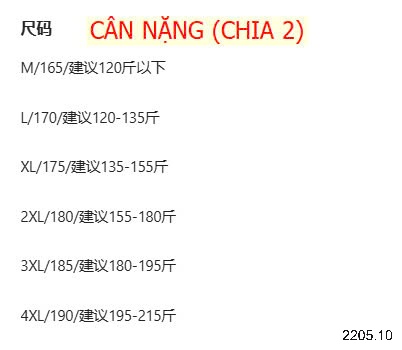 25HA2205.10 -POLO TRUNG NIÊN CHO BỐ
