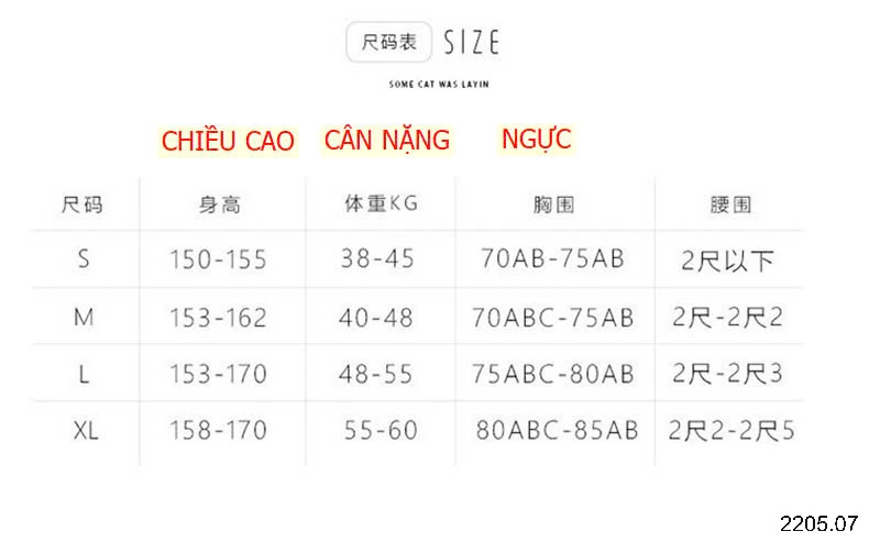 25HA2205.07 - BIKINI LIỀN THÂN 2 DÂY ĐỆM NGỰC