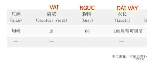 25HA2305.11 - VÁY 2S KÈM ĐỆM NGỰC NỮ