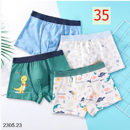 25HA2305.23 - SET 4 QUẦN SỊP ĐÙI BÉ TRAI