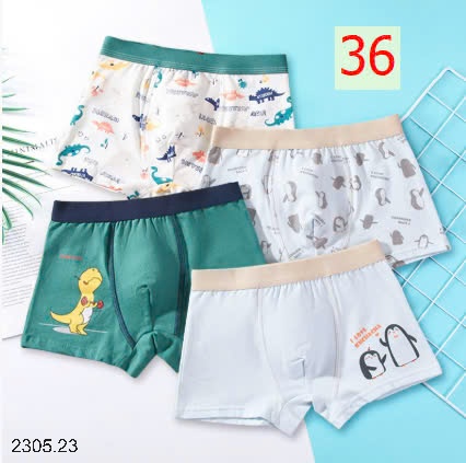 25HA2305.23 - SET 4 QUẦN SỊP ĐÙI BÉ TRAI