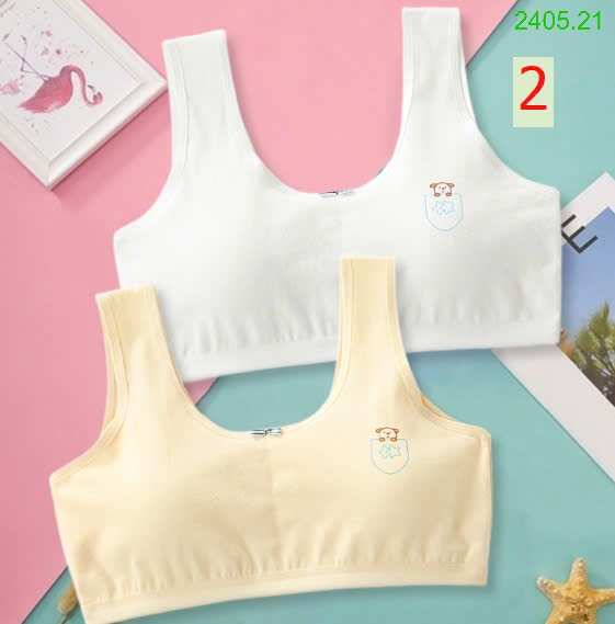 25HA2405.21 - SET 2 ÁO LÁ CHO BÉ GÁI