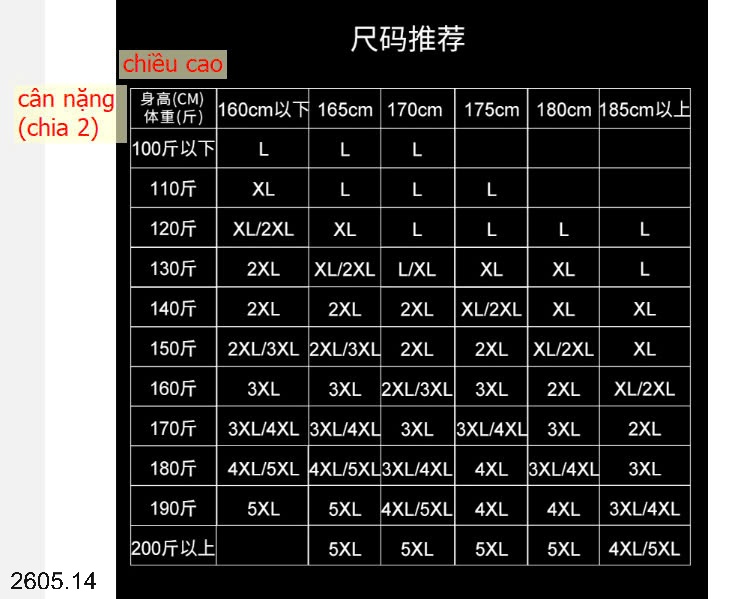 25HA2605.14 - QUẦN BƠI YOUYOU NAM 2 LỚP CHỐNG LỘ