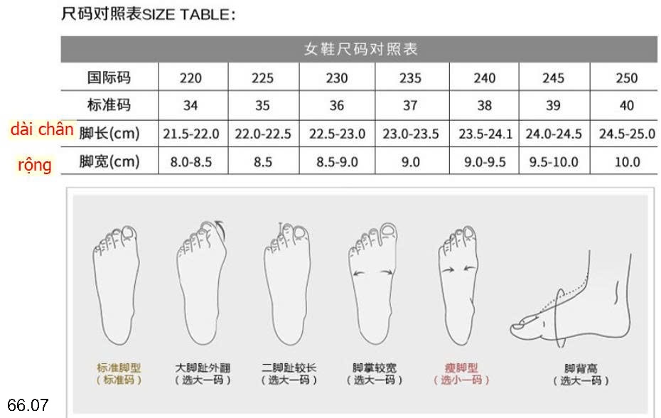 25HA66.07 - DÉP ĐẾ GIÀY HAI QUAI NGANG
