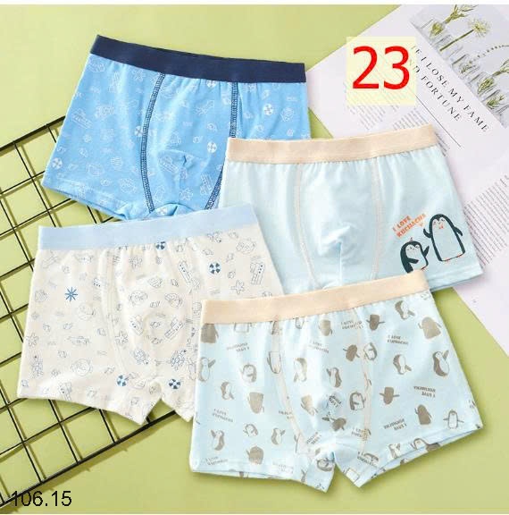 25HA106.15 - SET 4 QUẦN CHÍP ĐÙI BÉ TRAI