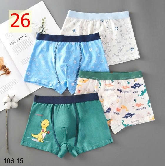25HA106.15 - SET 4 QUẦN CHÍP ĐÙI BÉ TRAI