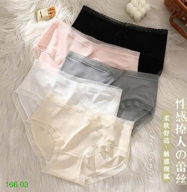 25HA166.03 - SET 5 QUẦN CHÍP