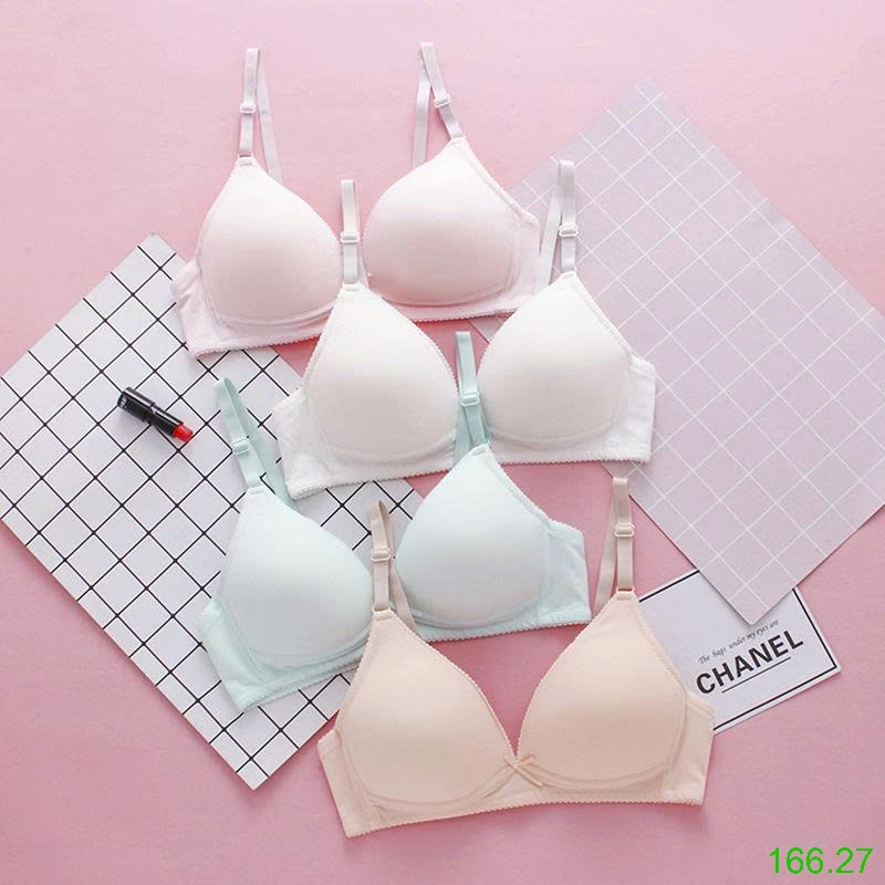 25HA166.27 - SET 2 ÁO LÓT HỌC SINH