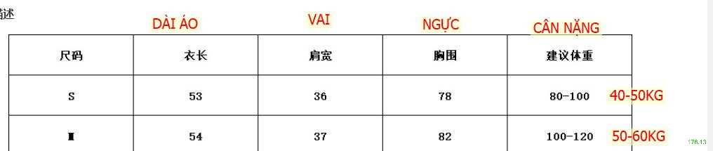 25HA176.13 - ÁO TRỄ VAI THIẾT KẾ DÂY WGWE