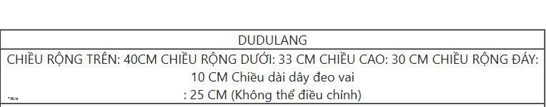 25HA216.01 - TÚI TOTE DUNG TÍCH LỚN