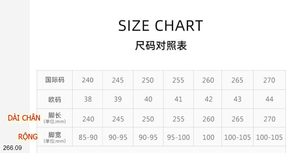 25HA266.09 - GIÀY THỂ THAO THOÁNG KHI CAMEL NAM