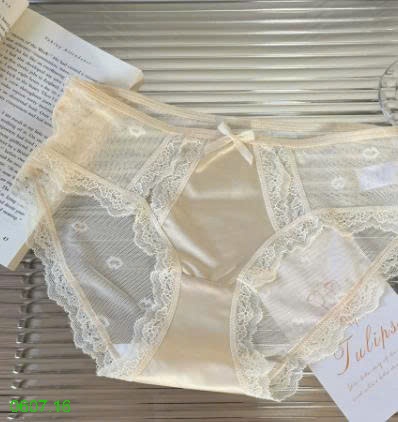 25HA0607.16 - SET 5 QUẦN LÓT VIỀN REN NỮ