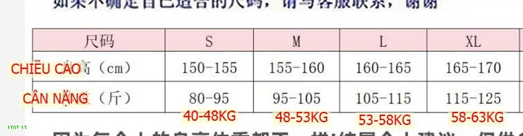 25HA1707.13 - ÁO GILE THÊU NGỰA