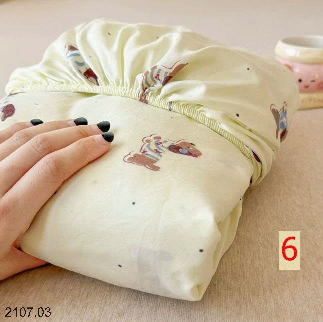 25HA2107.03 - SET CHĂN GA GỐI