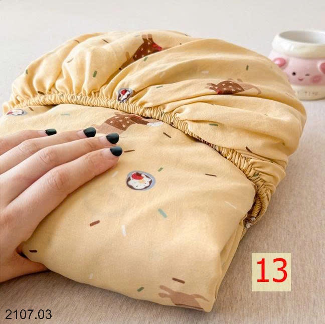 25HA2107.03 - SET CHĂN GA GỐI