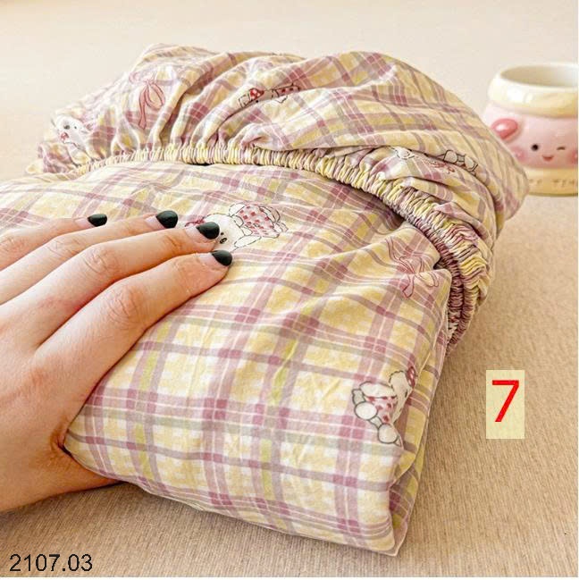 25HA2107.03 - SET CHĂN GA GỐI