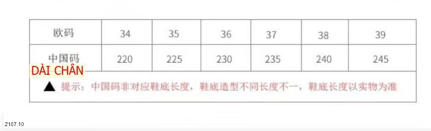 25HA2107.10 - GIÀY MŨI NHỌN HỞ GÓT KIỂU PHÁP