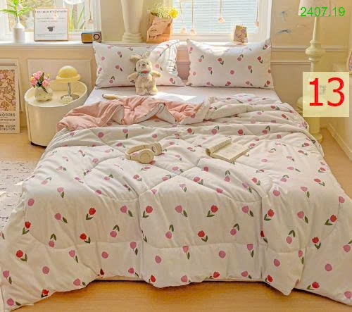 25HA2407.19 - CHĂN SƠ ĐẬU NÀNH MÙA HÈ