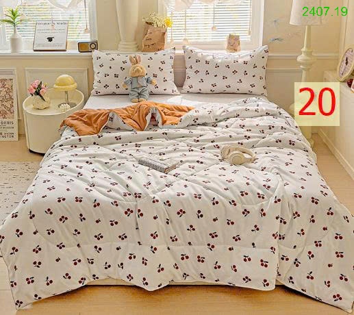 25HA2407.19 - CHĂN SƠ ĐẬU NÀNH MÙA HÈ