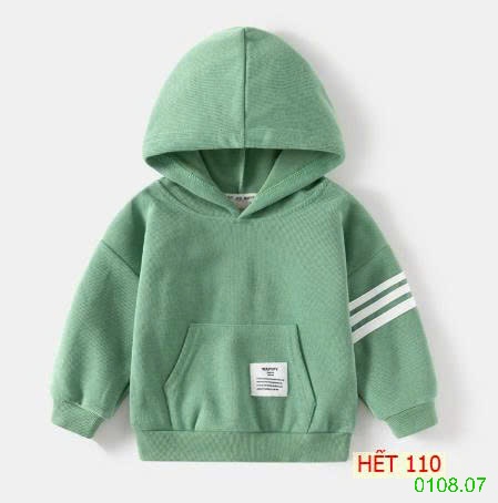 25HA0108.07 - ÁO HODDIE CỦA WAPPY