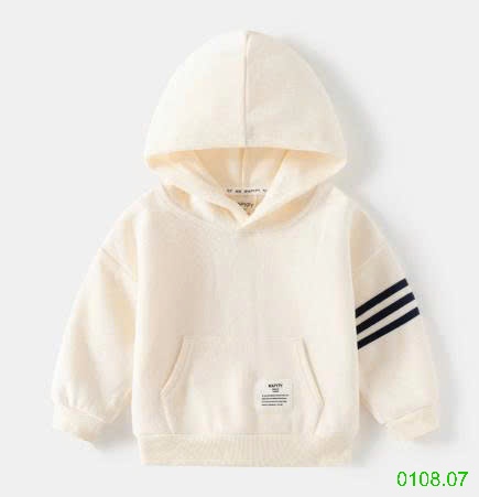 25HA0108.07 - ÁO HODDIE CỦA WAPPY