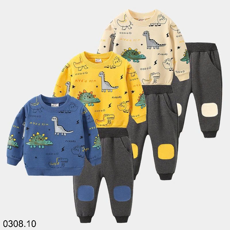 25HA0308.10 - BỘ NỈ BÉ TRAI HÃNG WELLKIDS