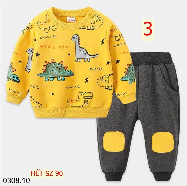 25HA0308.10 - BỘ NỈ BÉ TRAI HÃNG WELLKIDS
