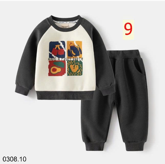 25HA0308.10 - BỘ NỈ BÉ TRAI HÃNG WELLKIDS