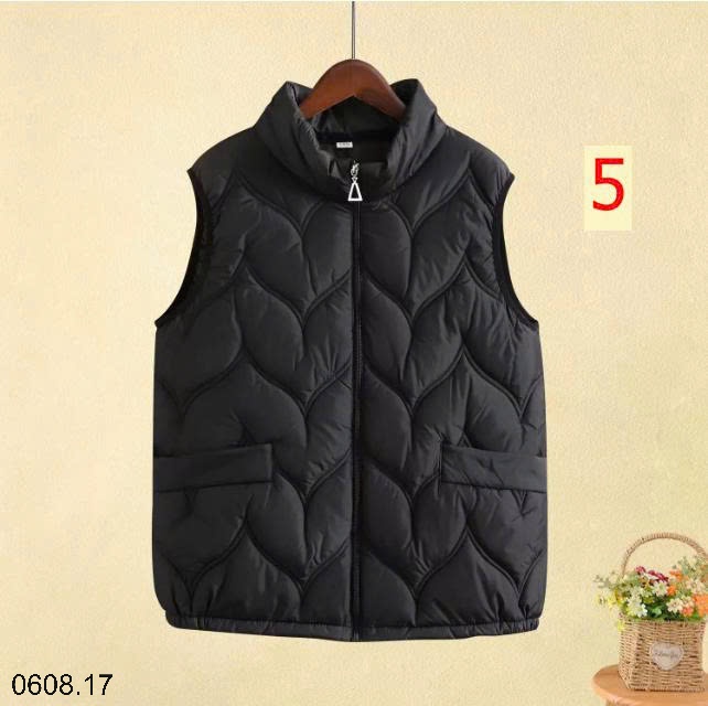 25HA0608.17 - GILE PHAO TRUNG NIÊN