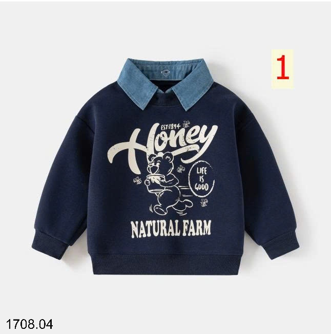 25HA1708.04 - BST ÁO NỈ WELLKIDS BÉ TRAI