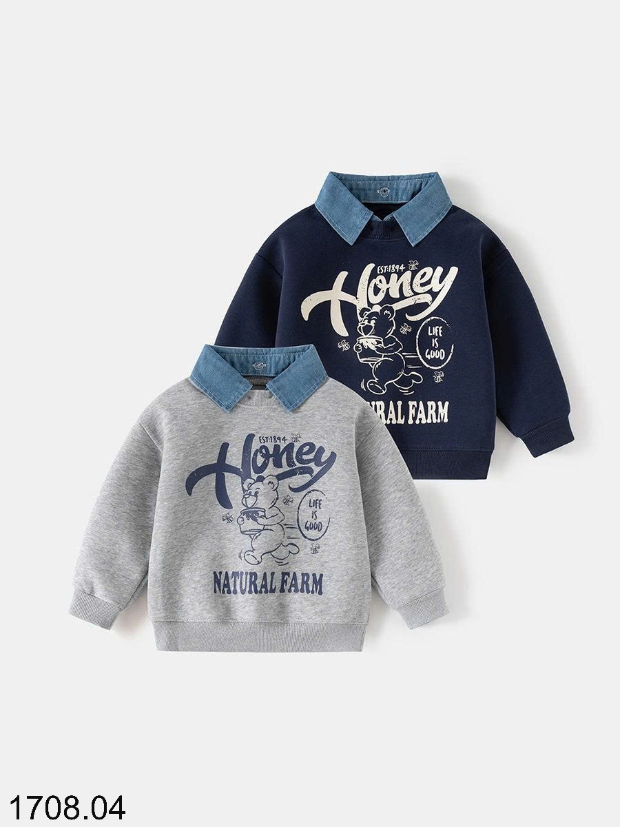 25HA1708.04 - BST ÁO NỈ WELLKIDS BÉ TRAI