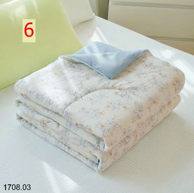 25HA1708.03 - CHIẾC CHĂN HÈ SIÊU ƯNG